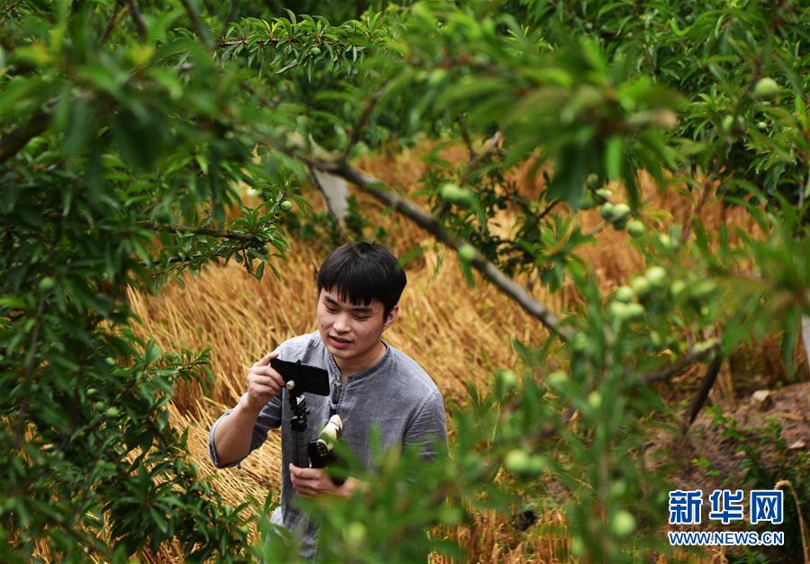 (新華全媒頭條·走向我們的小康生活·圖文互動)(8)大城大鄉的“幸福協奏曲”——重慶推動高質量發展創造高品質生活紀事