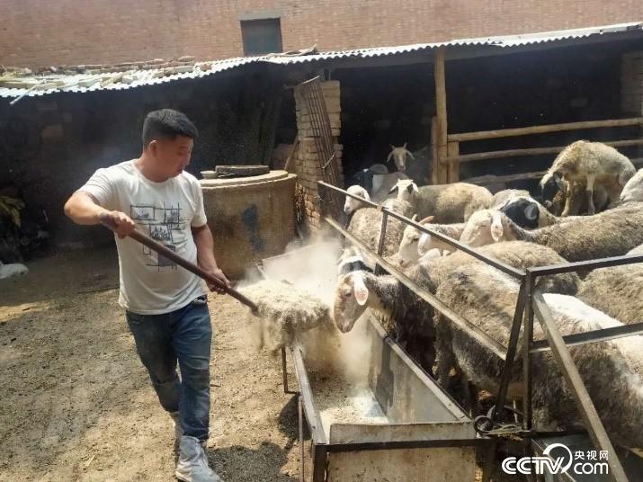 κh(zhn)ؚC(j)ưѷһҏķؚ˻؁¸Сĵ·z/x